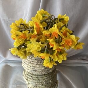 Seasonal “en masse“ Yellow Flowers