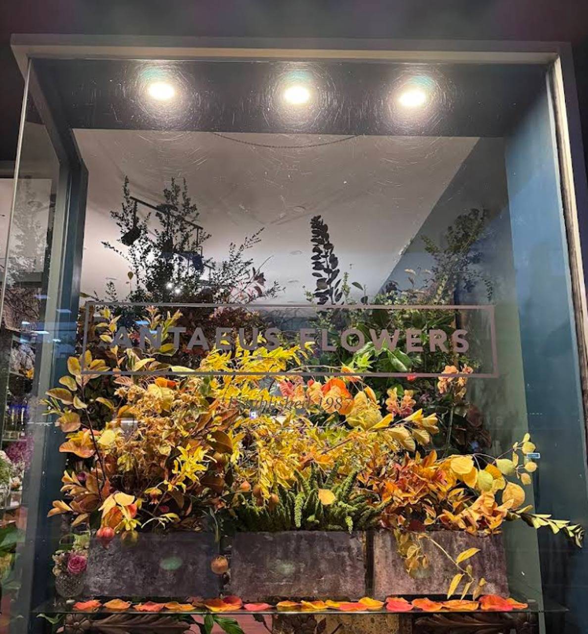 Organic Bouquet Flower Delivery